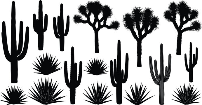 Black silhouette vector illustration set featuring various desert plants including saguaro cactus joshua trees and agave for arid landscape nature and southwestern branding design