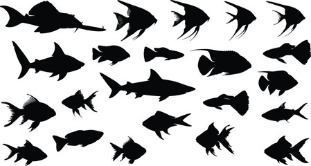 Fototapeta premium Black silhouette vector illustration set featuring various tropical fish shark species and aquatic creatures for marine biology ocean nature conservation and wildlife branding design