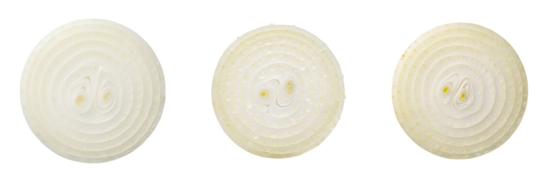 Three white onion slices on transparent background