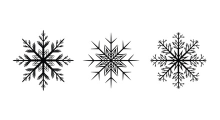 Obraz premium Three Detailed Black Snowflake Vector Icons Featuring Ornate Symmetrical Ice Crystal Designs for Winter Holidays Christmas Decoration Cold Weather Theme and Festive Graphic Design Projects