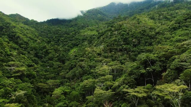 Aerial drone shot of dense green mountains in the high jungle of Oxapampa, Peru, under a cloudy sky with mist clinging to the peaks and forest canopy.