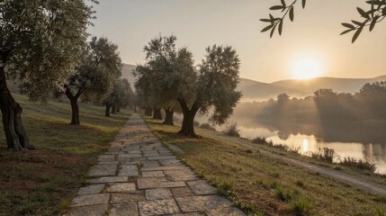 Fototapeta premium A serene sunset landscape in a rural olive grove, with warm golden light casting a peaceful atmosphere over the stone pathway and dry grasses.