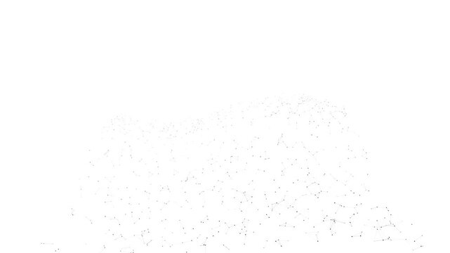 Minimalist 3D Topographic Data Wave Nexus 4K Seamless Loop