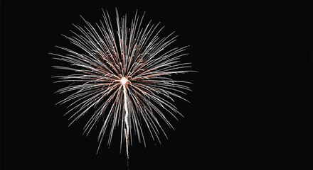 Fototapeta premium Large white firework burst with many radiating light trails shining brightly against a dark night sky background for celebratory events.