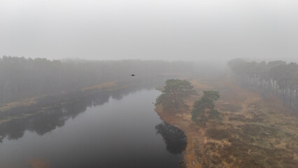 Fototapeta premium Aerial drone view of river or lake through a misty pine forest in autumn or early spring, gloomy and serene nature landscape in fog, silent and lonely scene under morning mist