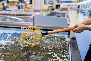 Fresh Shrimp Scooping at Seafood Market Counter © DinhBaoTran