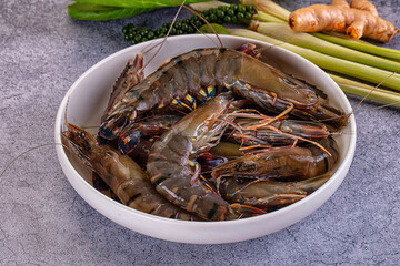 Raw fresh tiger prawn for cooking