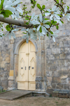 Bilder aus der Welterbestadt Quedlinburg Harz Sachsen Anhalt