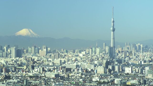アイリンクタウン市川から見た富士山と東京スカイツリー