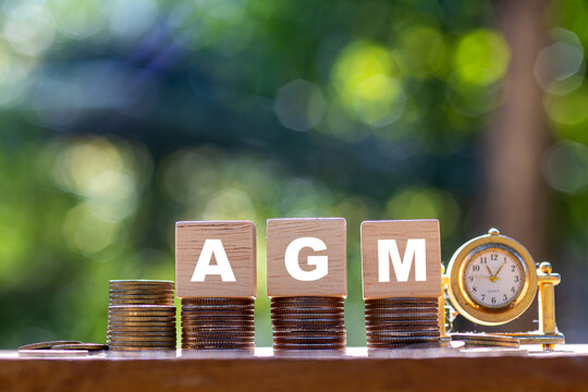 AGM Annual General Meeting is a meeting that a company must hold every year to inform shareholders about the company's financial performance.