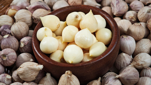 Single clove garlic herb in a wooden bowl.