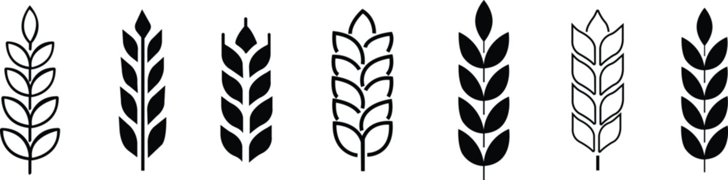 Wheat icon set. Grain, wheat ear, cereal, whole grain, harvest, stalk. Rye ears flat and thin line style - stock vector. isolated on transparent background
