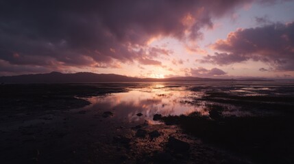 Fototapeta premium Breathtaking Sunset Over Quiet Marshland with Calm Water Reflection and Colorful Sky in Tranquil Nature Scene