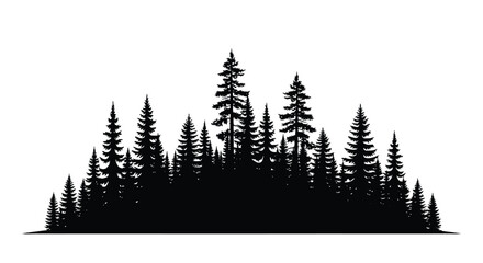 Dense forest of evergreen trees presented as a striking silhouette © Santa