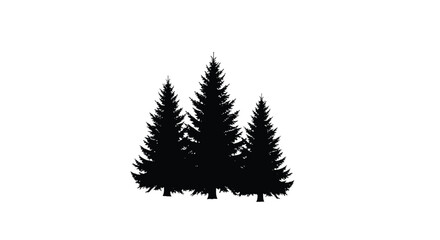 Obraz premium Three dark evergreen trees stand against a plain white background silhouette