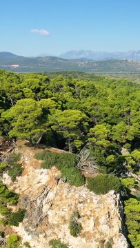 Aerial view of a rocky cliff covered with lush pine trees overlooking the turquoise waters of Alonaki Fanariou beach in Greece, with distant mountains under a clear blue sky.