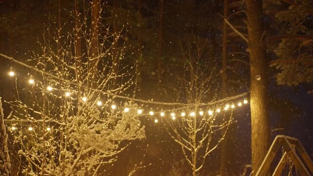 Snow Covered Trees And String Lights Create Tranquil Golden Canopy In Snowy Forest, Gentle Snowfall Settling On Branches And Cabin Roof, Warm Bulbs Hang Between Pine Trunks, Perfect Backdrop