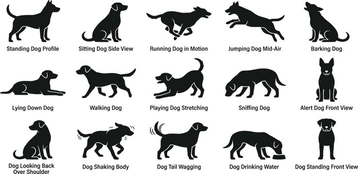 Explore a diverse conceptual collection of dog silhouettes, illustrating various canine behaviors, actions, and poses from standing to playing, perfect for design resources