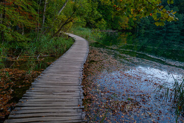Naklejka premium Wooden boardwalk through forest nature. Scenic forest path with wooden walkway. Travel path along lake in forest. Boardwalk in autumn woodland. Peaceful forest trail with wooden boardwalk.