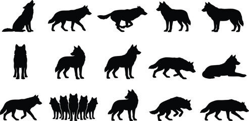 Fototapeta premium Dynamic collection of black wolf silhouettes capturing various poses and actions, ideal for wildlife themes, vector graphics, and animal-themed design projects