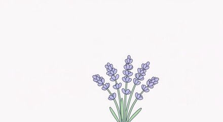 Obraz premium Lavender Bouquet - Delicate Purple Flowers on White.