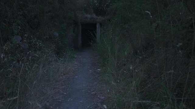 Explore the eerie entrance of a mining tunnel at dusk in Melbourne's Warrandyte Park. The dim twilight casts shadows on the rugged path leading to the dark opening, creating an enigmatic scene.