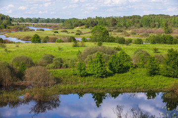 Naklejka premium Tranquil summer landscape featuring green fields, reflective river water, and distant forest greenery under a bright sky, evoking a serene and peaceful outdoor ambiance. Sorot river, Savkina Gorka
