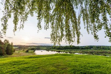 Naklejka premium Golden sunset lights a tranquil Sorot river valley framed by hanging birch branches and a lush green meadow, evoking peaceful rural scenery and a quiet summer evening in the countryside