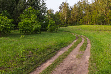 Naklejka premium A winding dirt road curves through a lush green meadow toward the forest edge, conveying peaceful countryside atmosphere, rural travel and outdoor exploration in warm summer light