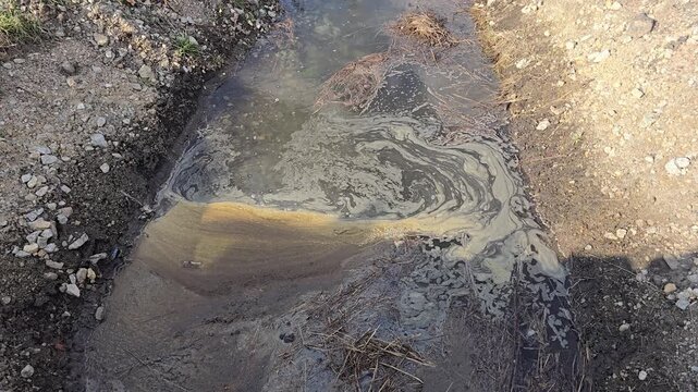 Flood emergency pumping system moving muddy wastewater through thick hose toward ditch in natural field environment.