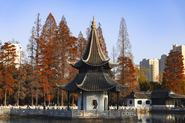 Chinese pavilion in autumn park with city skyline