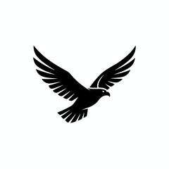 Fototapeta premium A majestic black silhouette of a bird of prey soaring through the sky with its wings outstretched and looking forward