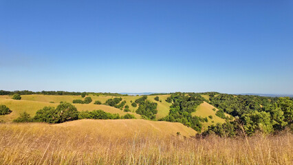 Naklejka premium Tranquil sunny summer landscape with green fields and hills in south-eastern Europe, Serbia.