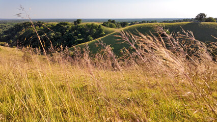 Naklejka premium Tranquil sunny summer landscape with green fields and hills in south-eastern Europe, Serbia.