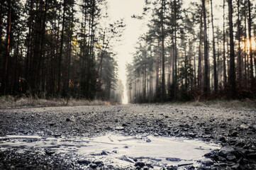 mak, kwiat, czerwony, natura, pole, łąka, lato, słońce, światło, makro, zbliżenie, tło, bokeh, roślina, dziki, wieś, ekologia, wiosna, czerwiec, płatek, flora, botanika, delikatność, sielanka, spokój, © Henryk Niestrój