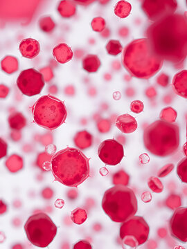 Human peripheral blood mononuclear cells (PBMC) cells under a microscope background image illustration