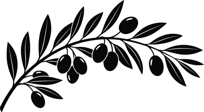 Olive Branch Vector | Green Olives Leaves Peace Symbol Icon Black Isolated on White