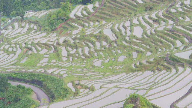 日本棚田百選 丸山千枚田