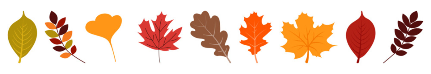 Obraz premium Autumn leaves set