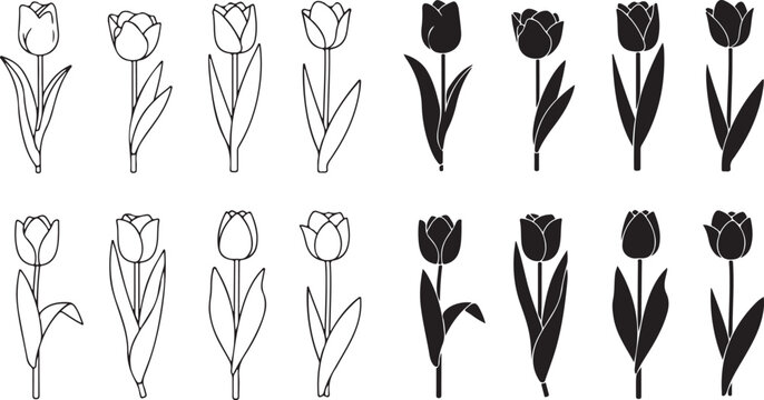 Black and white of various types of neckties in different styles bow tie ascot