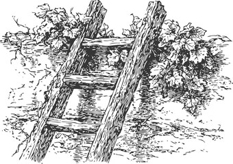 Fototapeta premium Vintage wooden ladder leaning on garden wall with climbing grapevine leaves illustration