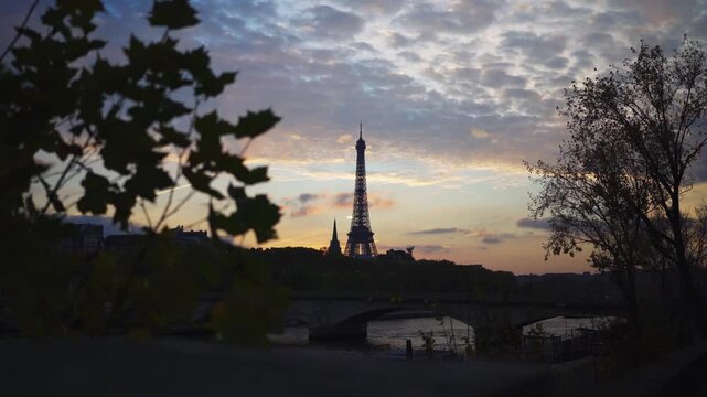 Paris Eiffel Tower reveal behind tree at sunset with birds at Seine River