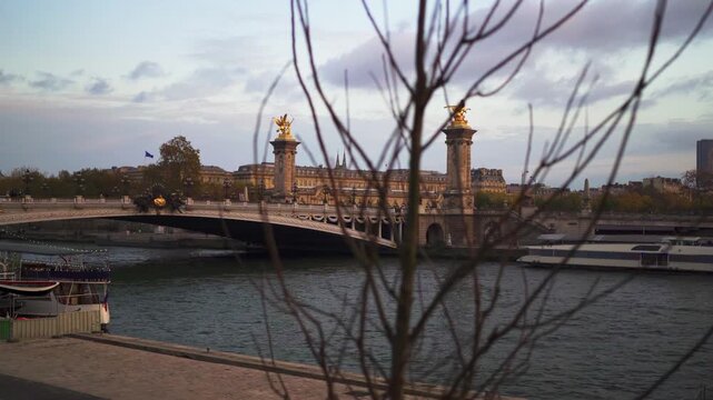 Paris France Pont Alexandre III Bridge at sunset behind tree at Seine river