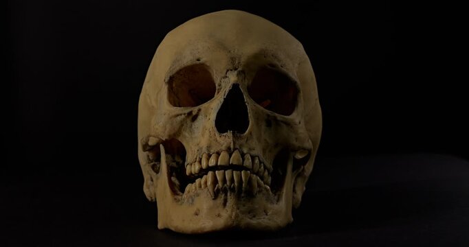 Human Skull with Light Flashes. Video of a motionless human skull with sharp dramatic light flashes on black background.