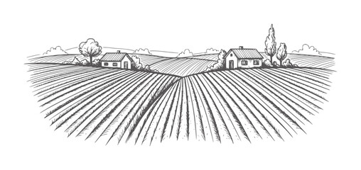 Rural landscape with cultivated fields and farmhouses in a vintage style © Mosta