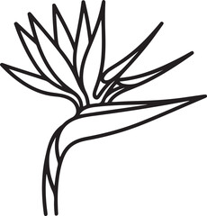 A minimalist outline illustration of a Bird of Paradise flower, showcasing its distinctive petals and stem © Mahfuzur