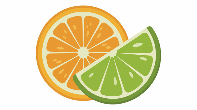Vector illustration of orange and lime citrus slices for cocktail decoration