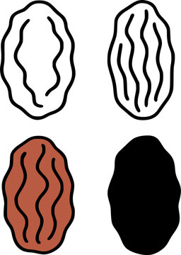 Raisin icon set illustrations, in outline, silhouette and colored, for food design