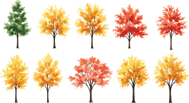Collection of stylized deciduous trees showing autumn foliage transition from green to yellow, orange, and red leaves, seasonal nature illustration for fall design concepts