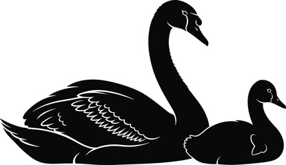 Fototapeta premium Elegant black silhouette illustration of two swans, adult and cygnet, resting or swimming gracefully, symbolizing love, family, nature, wildlife, and artistic inspiration for creative design projects